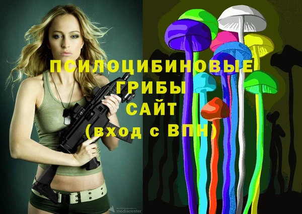 гидропоника Михайловка