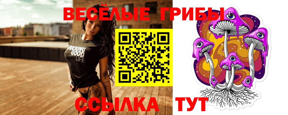 Галлюциногенные грибы MAGIC MUSHROOMS  Калуга  Псилоцибиновые грибы прущие грибы 