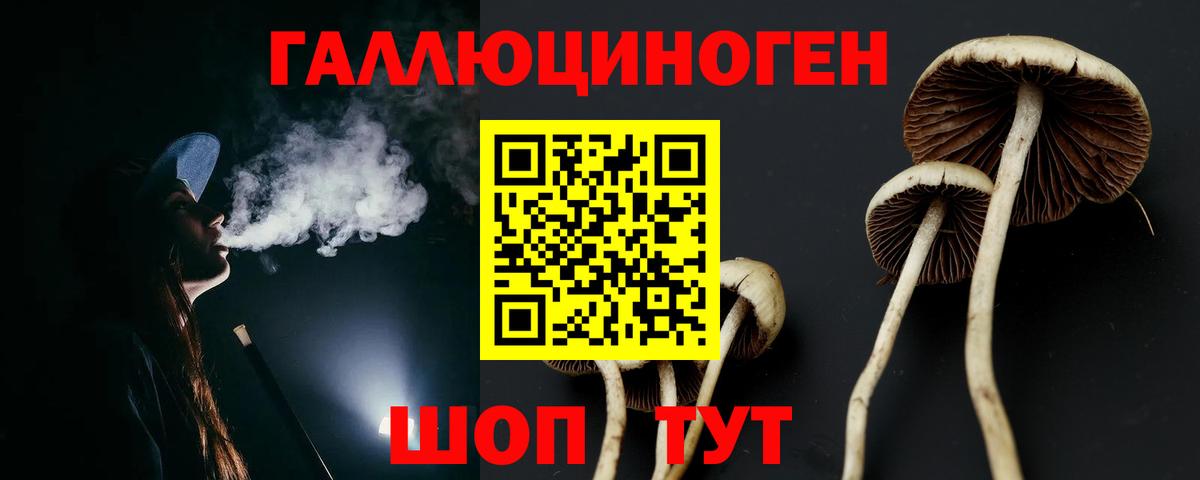 Галлюциногенные грибы GOLDEN TEACHER Калуга