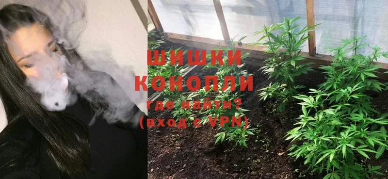 Конопля White Widow  Калуга 